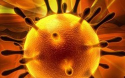 Virus Corona là gì, nguy hiểm như thế nào và triệu trứng nhiễm bệnh?