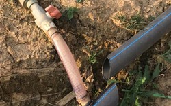 Đà Lạt: Phẫn nộ, hơn 300m ống nước tưới bị chặt phá tan tành