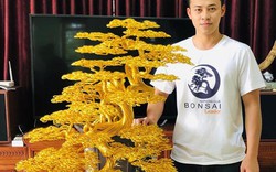 “Siêu cây” bonsai từ dây đồng, nhôm, đẹp như cây thật, giá bạc triệu