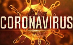 Cách phòng tránh dịch bệnh từ chủng mới của virus Corona