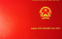 8 loại văn bằng có “trình độ tương đương” cử nhân, thạc sĩ, tiến sĩ