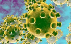 Virus Corona tấn công cơ thể người thế nào, gây ra triệu chứng gì?