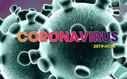 Virus Corona lây lan nhanh như thế nào?