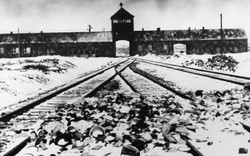 Vì sao quân đồng minh không ném bom trại Auschwitz của Hitler?