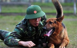 Chó nghiệp vụ được công an Việt Nam tuyển chọn, huấn luyện thế nào?