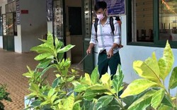 Bà Rịa – Vũng Tàu cho học sinh, sinh viên nghỉ học để phòng chống dịch bệnh nCoV
