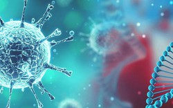 Sự thật chuyện virus Corona do con người tạo ra, "nhúng" gene từ virus HIV