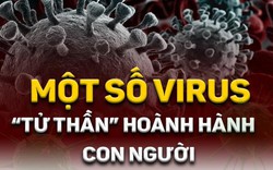 Infographic: Virus Corona và những dịch bệnh từng hoành hành con người