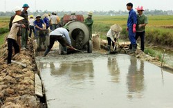 Nông dân tích cực làm giàu, đẹp những miền quê đất cảng Hải Phòng