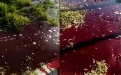 Trái đất "chảy máu" - dòng nước đỏ au trào lên mặt đất sau động đất kinh hoàng