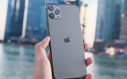 HOT: iPhone 11 Pro phát ra gấp đôi lượng bức xạ RF cho phép