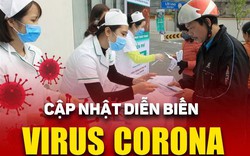 Dịch virus Corona 8/2: Tăng 85 người chết sau 1 ngày