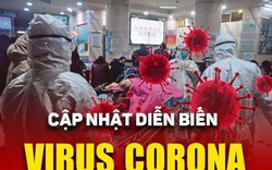 Dịch virus Corona 9/2: Không có chuyện virus Corona lây truyền qua bụi khí