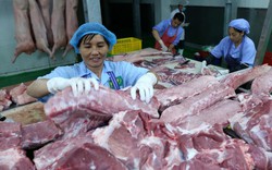 Nguồn cung thịt lợn năm 2020 đạt 4 triệu tấn, giá heo hơi sẽ giảm?