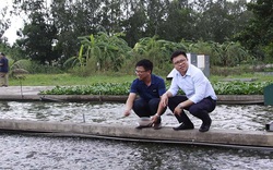 Anh em cùng đào con sông &#34;chảy ra vàng&#34;, dựng cơ nghiệp 300 tỷ đồng