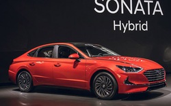 Hyundai trình làng Sonata Hybrid thế hệ mới tại Mỹ, Toyota Camry hybrid ‘đợi đấy’