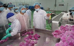 SCB đồng hành cùng nông dân Việt giữa mùa dịch virus corona