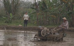 Đề phòng dịch corona, nông dân Quốc Oai khẩn trương xuống đồng