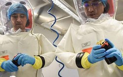 Phòng thí nghiệm Vũ Hán lên tiếng về tin đồn có bệnh nhân nhiễm virus Corona đầu tiên