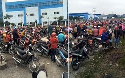 Dịch Covid-19: Công nhân Công ty sản xuất gấu bông lo làm cùng người Trung Quốc chưa kiểm tra sức khoẻ