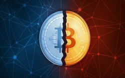 Lừa đảo Bitcoin và tiền điện tử bùng nổ, hơn 4 tỷ đô la bị bốc hơi