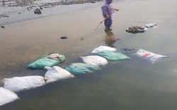 Thái Nguyên: Truy tìm kẻ ném 20 bao tải xác gà xuống đập cầu Líp