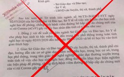 Phát tán văn bản giả mạo UBND tỉnh Hải Dương, cô gái bị phạt nặng