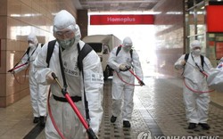 Hàn Quốc: Gần 6.300 người nhiễm Covid-19, 42 người tử vong