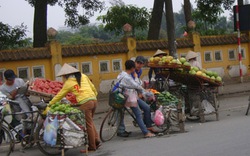 Buộc dùng nông sản GAP: Bên bán, bên mua đều chưa sẵn sàng