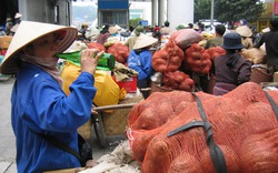 Làm sao để hàng sang Trung Quốc thoát ép giá?