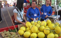 Công nghệ “ru ngủ” trái cây bằng phủ màng sáp