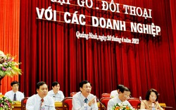 Hiệu quả của doanh nghiệp là thành công của tỉnh