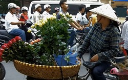 Gánh hàng hoa trên phố Việt lên phim thế giới