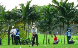 Cấm tỉnh Thừa Thiên - Huế lấy rừng phòng hộ làm sân golf