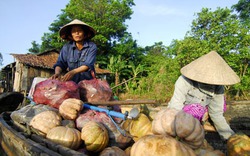 Nông dân cũng phải tự bảo vệ thương hiệu