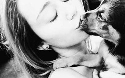 Chán hôn trai, Miley Cyrus đắm đuối hôn... cún