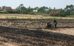 Cụ già trượt chân ngã, chết cháy trên đồng rơm