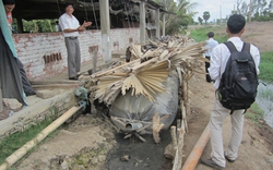 Tăng hiệu quả chăn nuôi bằng công nghệ biogas