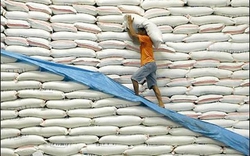Khánh thành kho dự trữ 600 tấn gạo ở đảo Lý Sơn