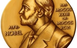 8 tác giả đoạt  Giải Nobel tới VN