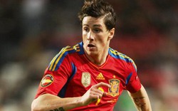 Torres sợ không được tham dự Euro 2012