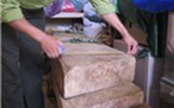 Thu giữ 24 kg gỗ sưa giá 300 triệu đồng ở nhà dân