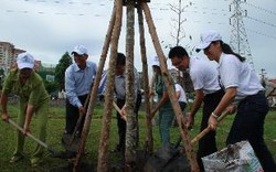 TP.HCM: Tham gia “Quỹ 1 triệu cây xanh cho Việt Nam”