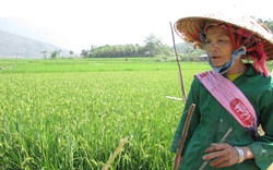 Lai Châu: Dấu ấn xóa nghèo của Hội Nông dân