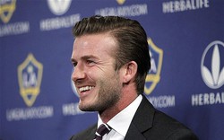 Beckham không màng tới nghiệp cầm quân