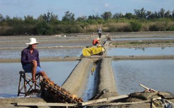 TP.HCM: Lúng túng trong xây dựng nhà văn hóa