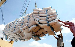 Xuất khẩu gạo sẽ giảm hơn 1 triệu tấn