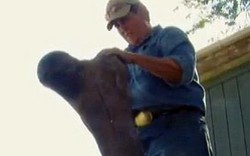 Một nông dân đào được bộ xương voi ma mút
