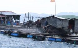 Vụ người Trung Quốc nuôi cá: Làm rõ trách nhiệm cơ quan liên quan