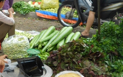 Hà Nội: Nguồn cung khan hiếm, rau tăng giá